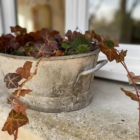 Bed & Breakfast Maison Parentale