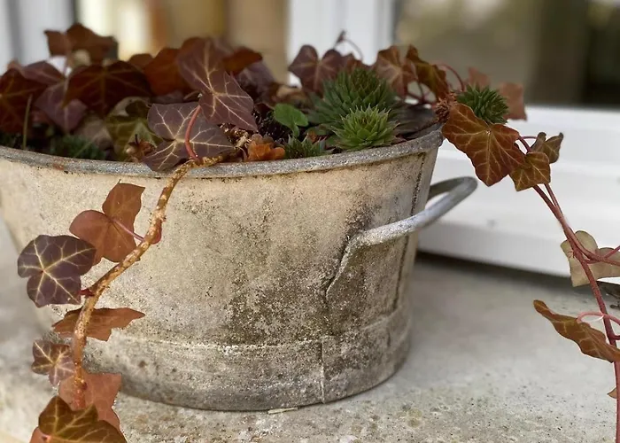 Panzió Maison Parentale